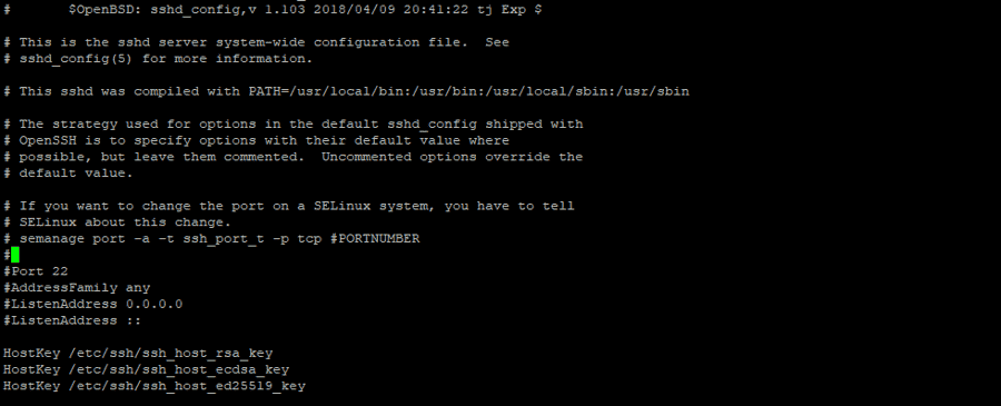 sshd config