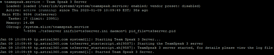 Teamspeak Service