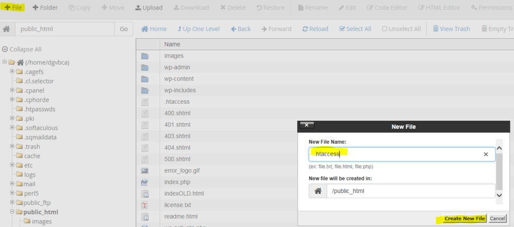 cPanel - Nouveau fichier