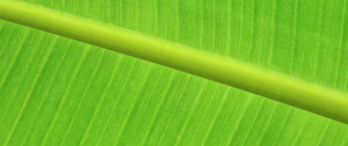 How Green Are “Green Data Centers”