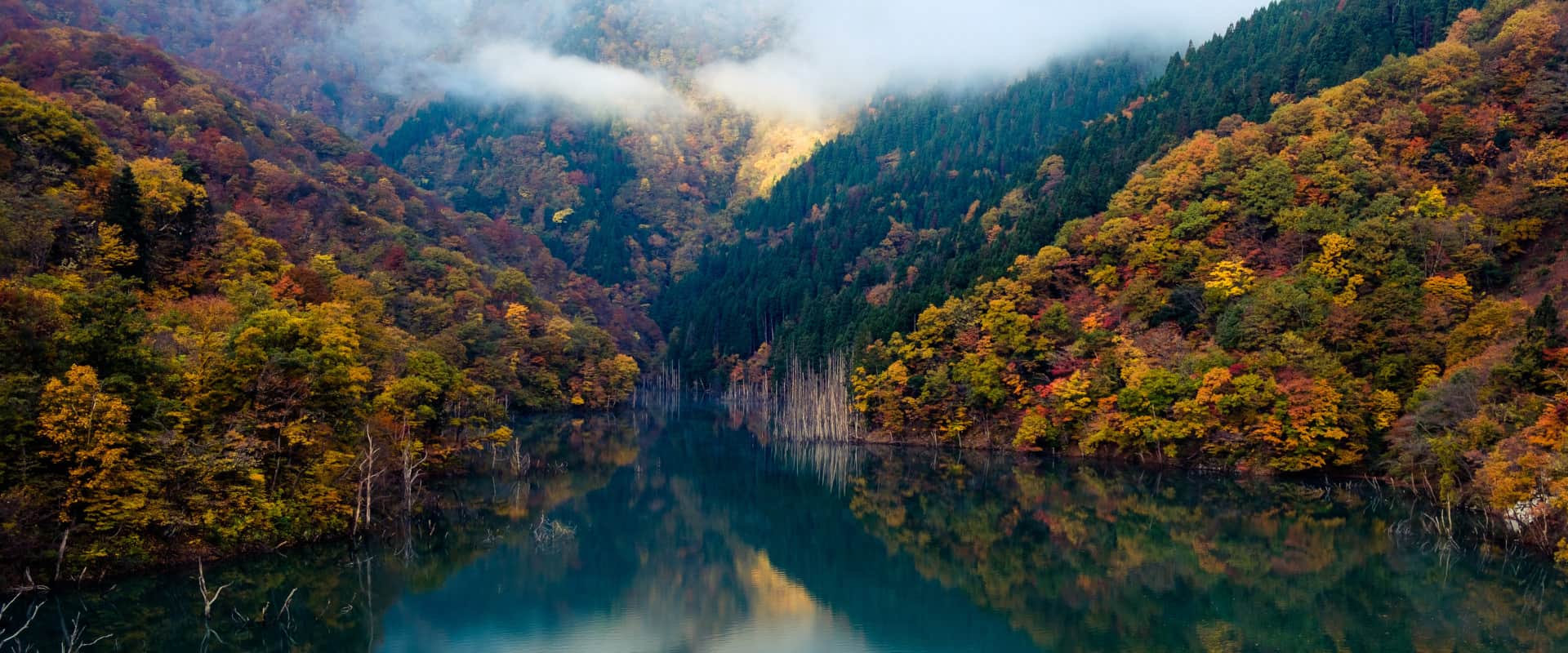 Hébergement web écoresponsable, photo de Sora Sagano