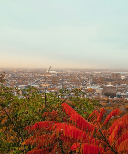 City of Montreal, photo by Aliaksandra Abramovich