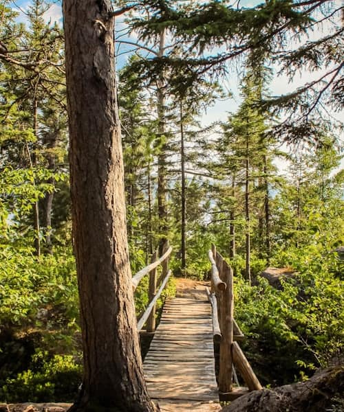 Trail Saguenay - Picture of Louis Renaudineau