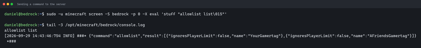 An allowlist list command sent to the server without attaching, and the server's answer in the log